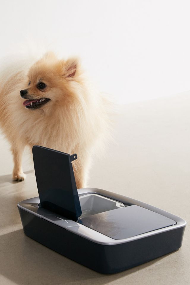 PetSafe 2Meal Automatic Pet Feeder Urban Outfitters