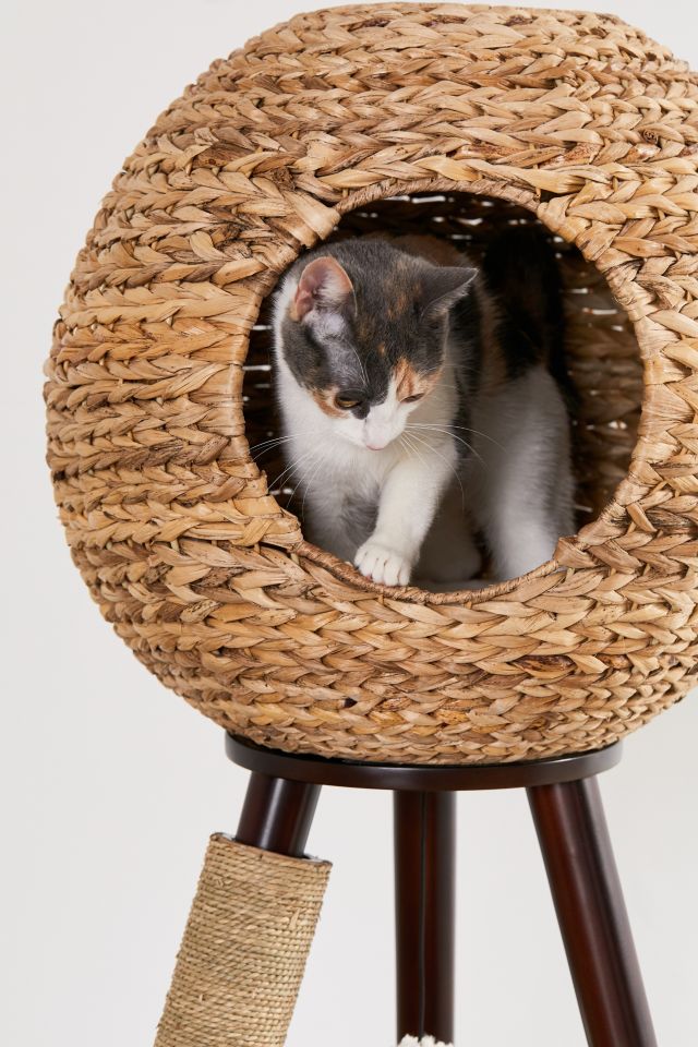 Sphere best sale cat tower