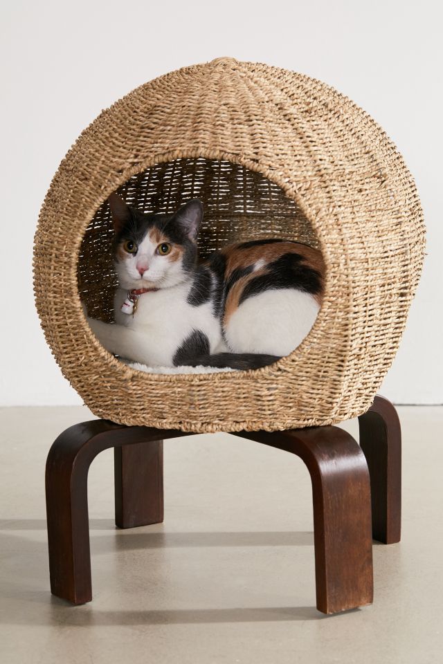 Cat shop pod bed