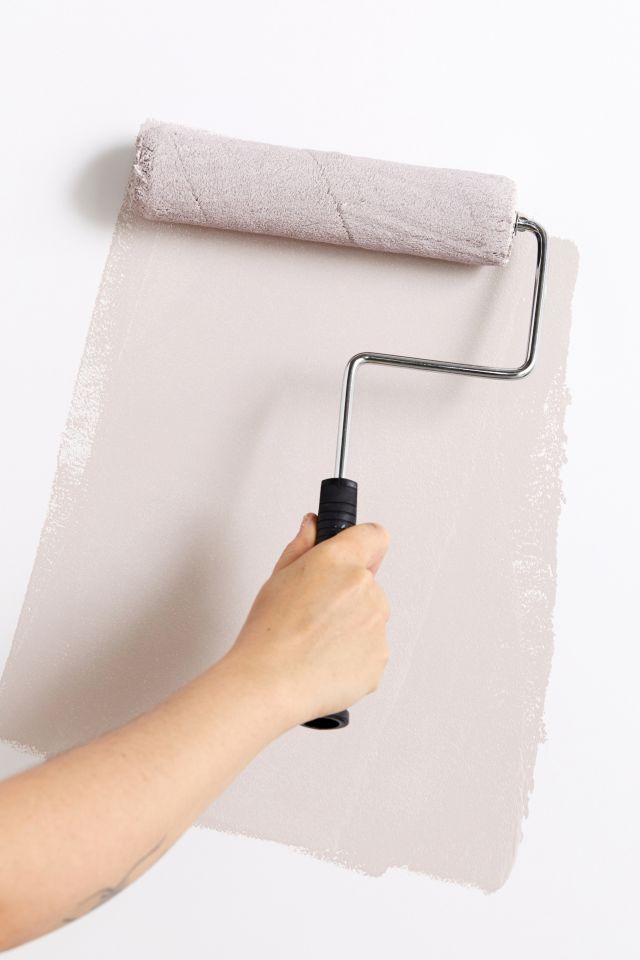 Backdrop Standard Finish Interior Paint