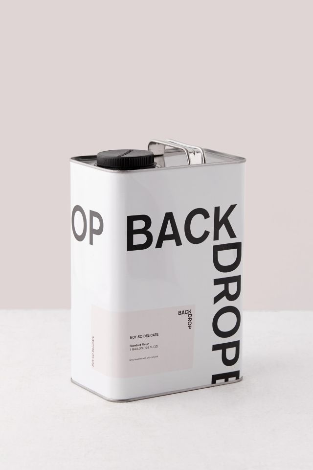 Backdrop Standard Finish Interior Paint #2