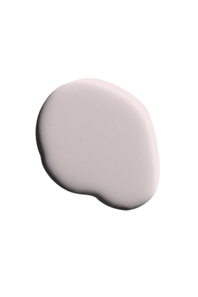 Backdrop Standard Finish Interior Paint #3