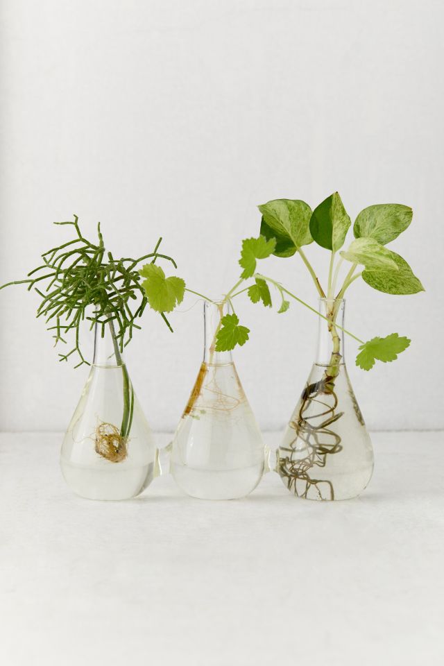 Propagation Station Trio Vase 