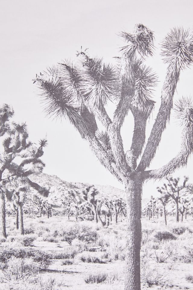 Bree Madden For Deny Joshua Tree Dowel Art Print #3