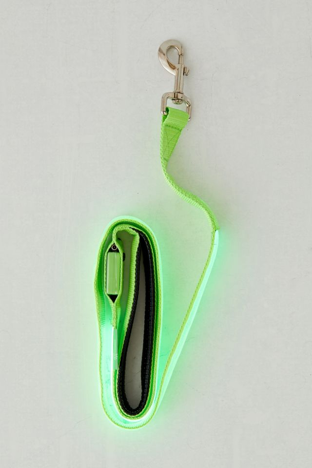 Illumiseen LED 4 ft Dog Leash #1