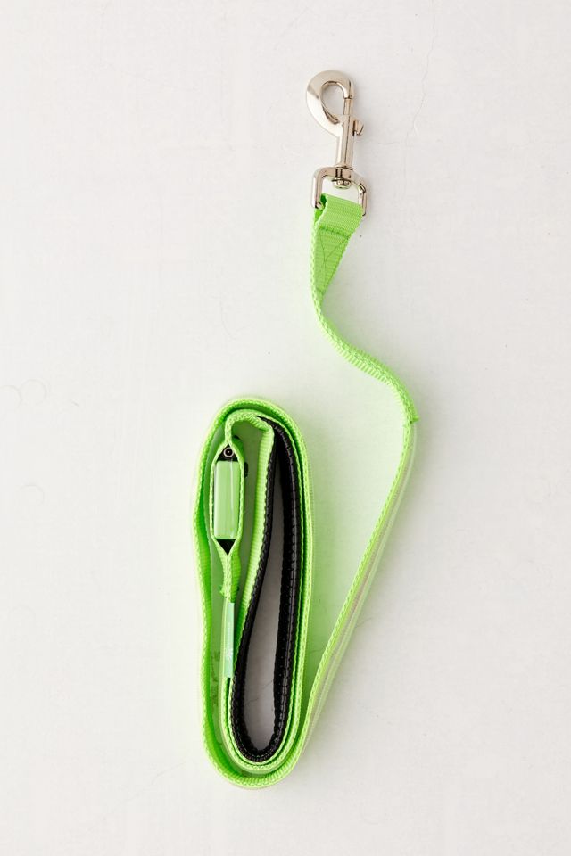 Illumiseen LED 4 ft Dog Leash #2