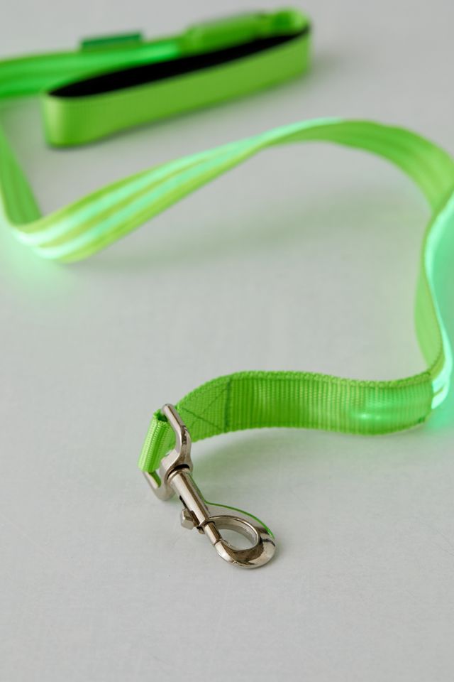 Illumiseen LED 4 ft Dog Leash #3