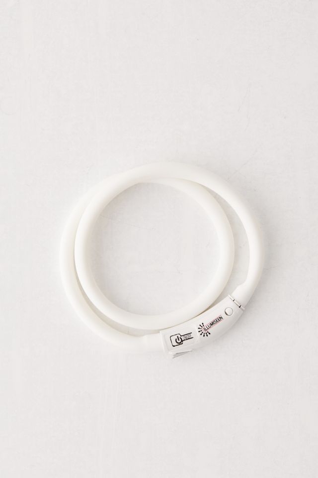 Collier pour chien à DEL Illumiseen #2