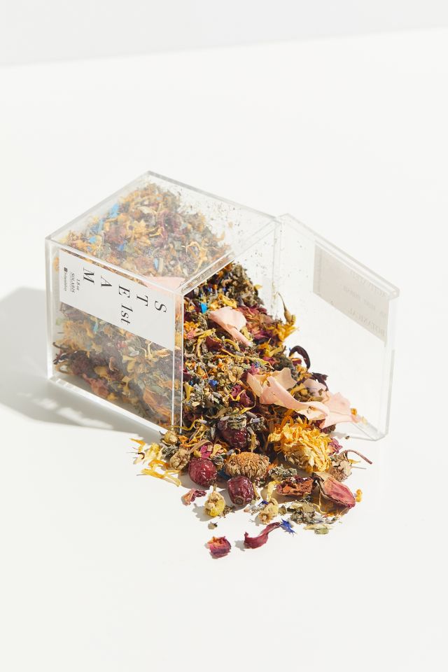 Solaris Laboratories Steam 1st Facial Kit Urban Outfitters Canada