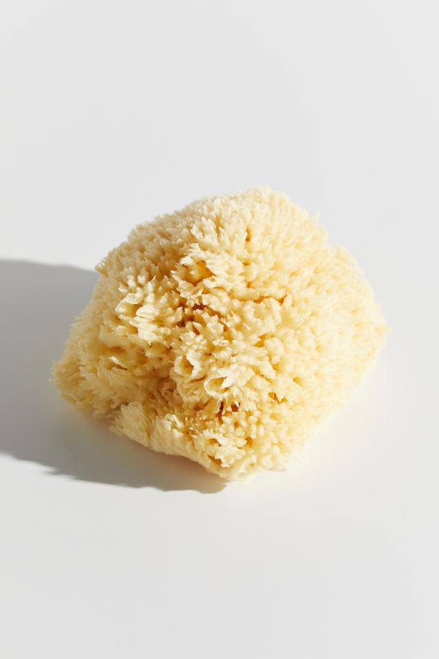Baudelaire Small Wool Sponge