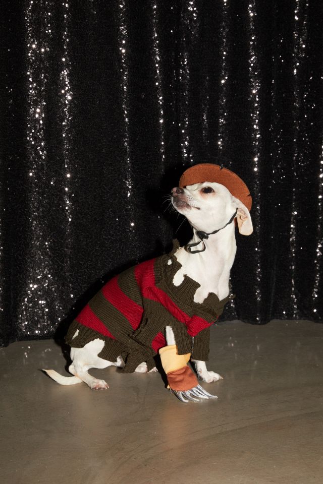 Freddy Krueger Dog Halloween Costume #1