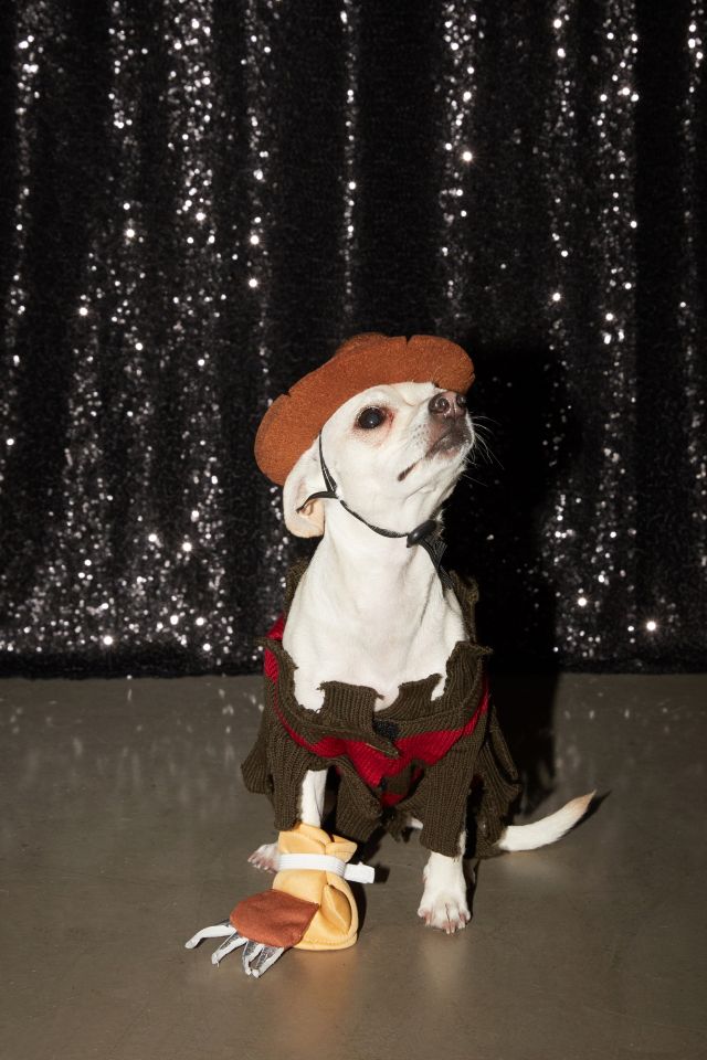 Freddy Krueger Dog Halloween Costume #2