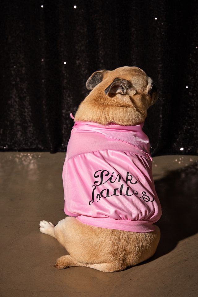 Pink Ladies Jacket Dog Halloween Costume #1
