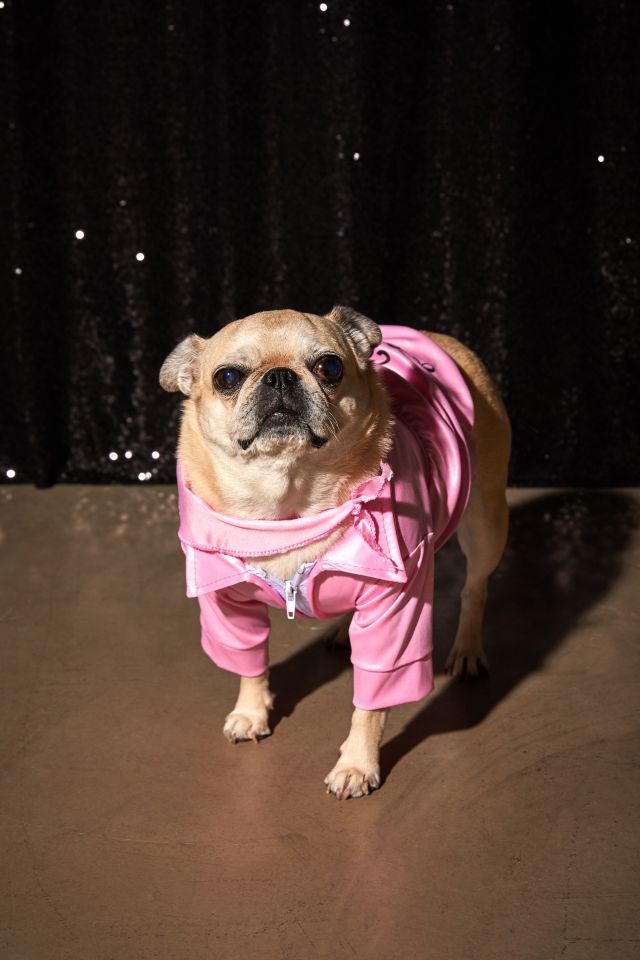 Pink Ladies Jacket Dog Halloween Costume #2