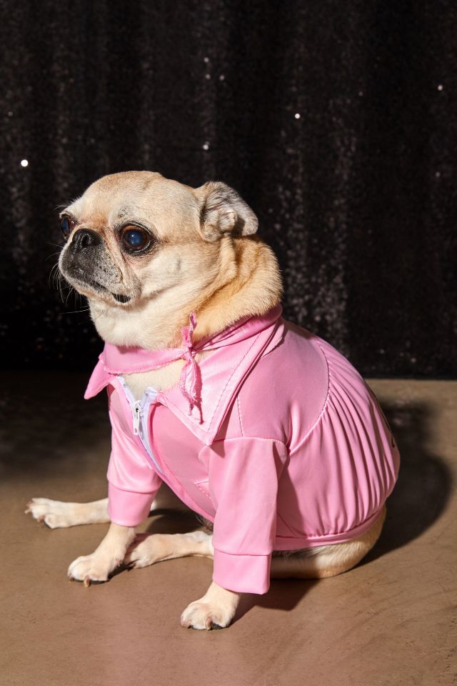 Pink Ladies Jacket Dog Halloween Costume #3