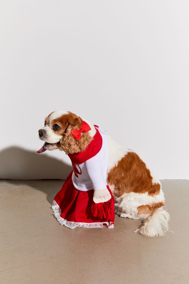 Cheerleader Dog Halloween Costume #1