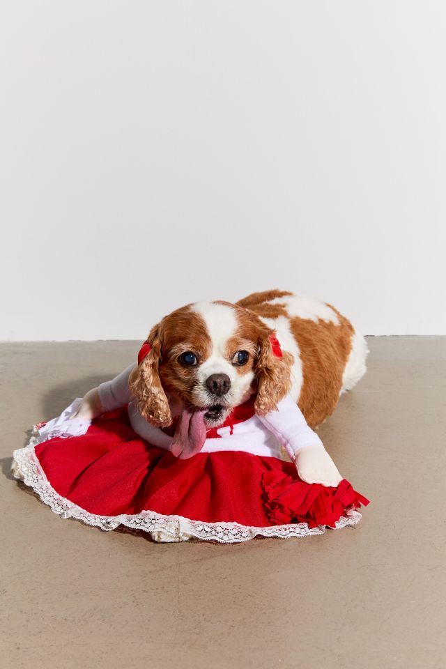 Cheerleader Dog Halloween Costume #2