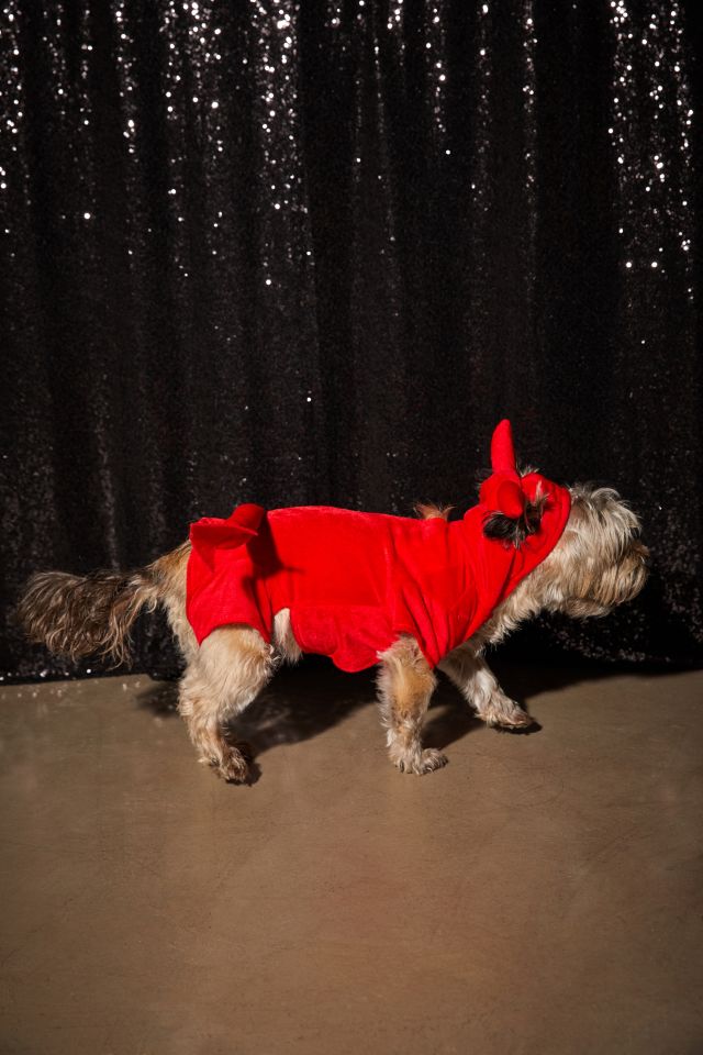 Devil Pet Costume