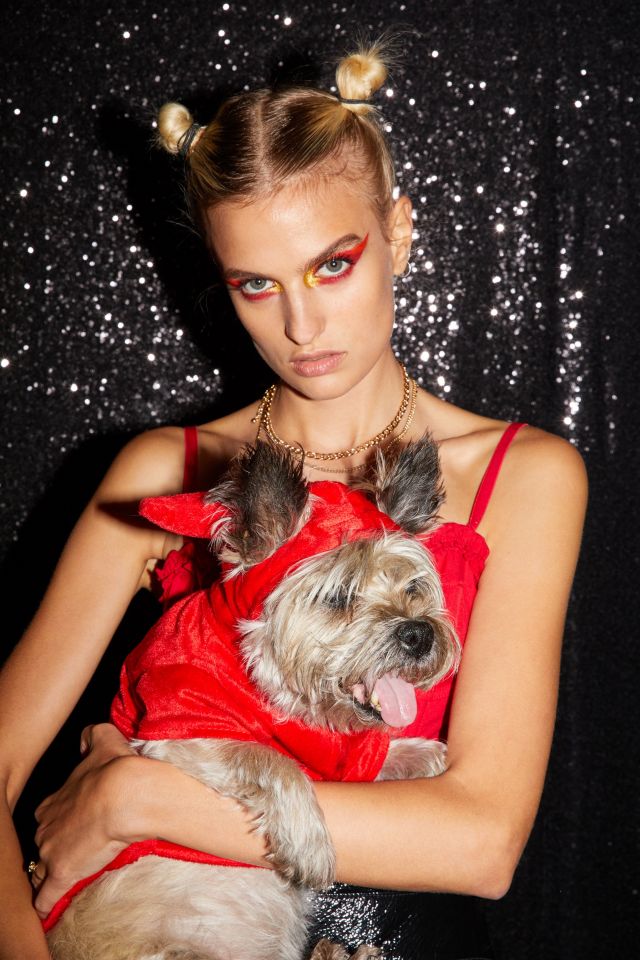 Devil Dog Halloween Costume #2