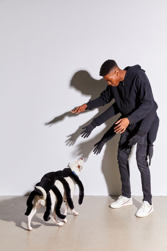 Spider Dog Halloween Costume #2