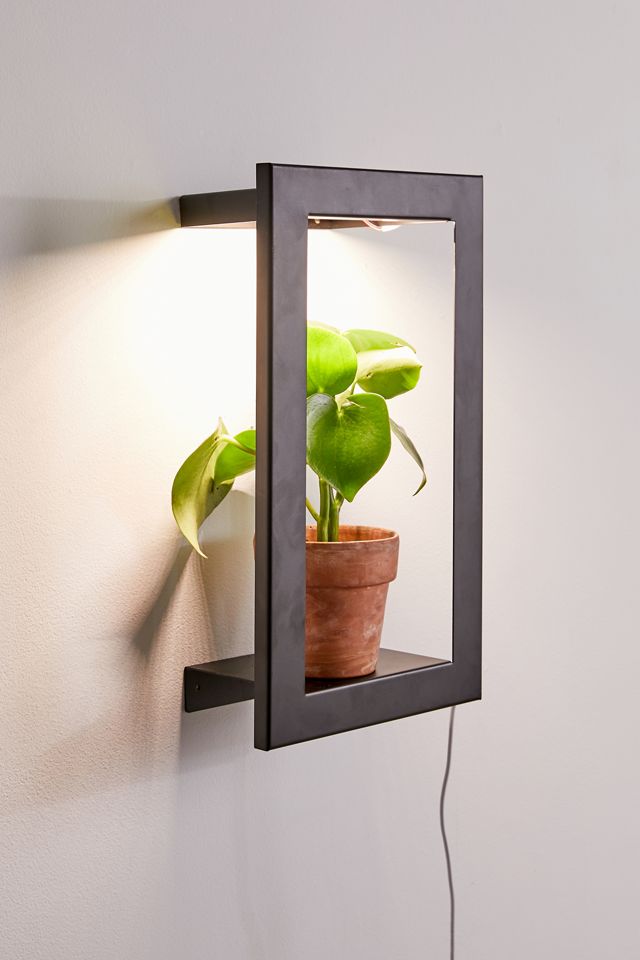 Modern Sprout Growframe Portrait | Urban Outfitters