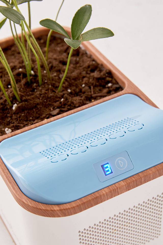 Planteur de rosée #2