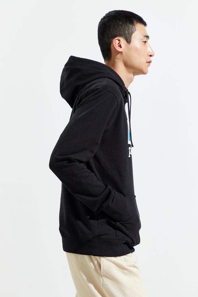 Patagonia Fitz Roy Horizon Hoodie Sweatshirt #2