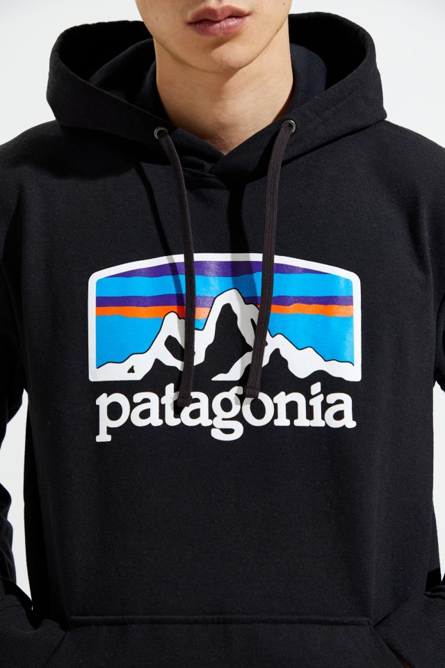 Patagonia Fitz Roy Horizon Hoodie Sweatshirt #5