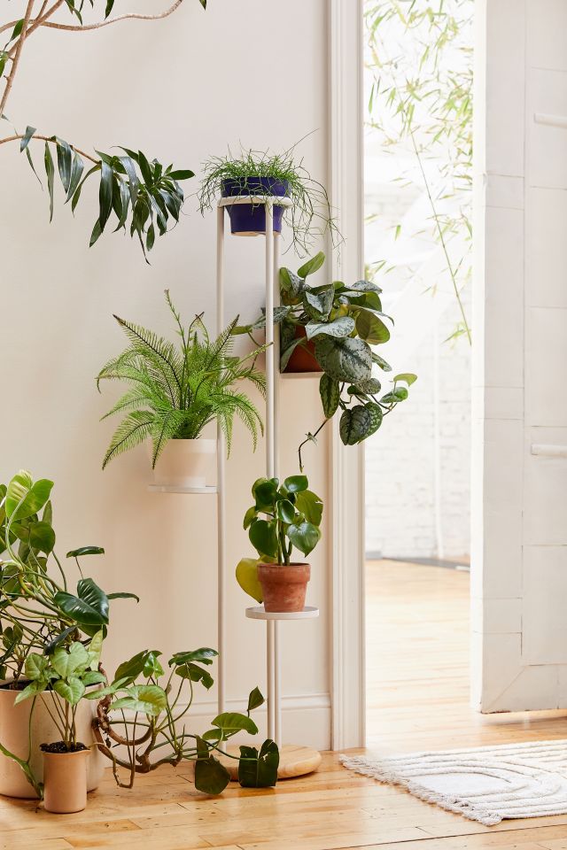 Shelby Tiered Plant Stand #1