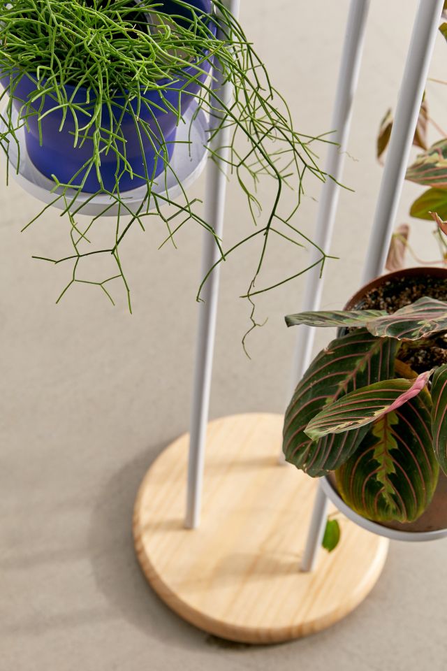 Shelby Tiered Plant Stand #4