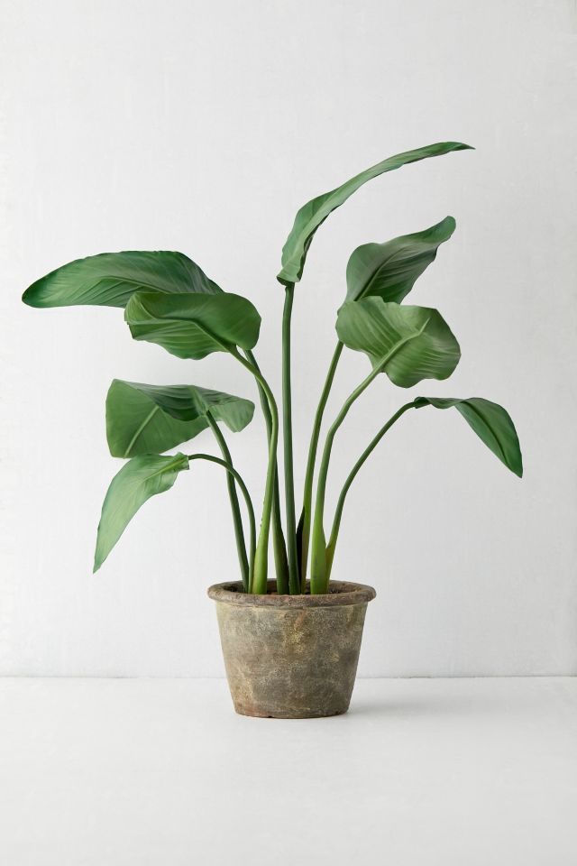 Bird Of Paradise Potted Faux Plant 