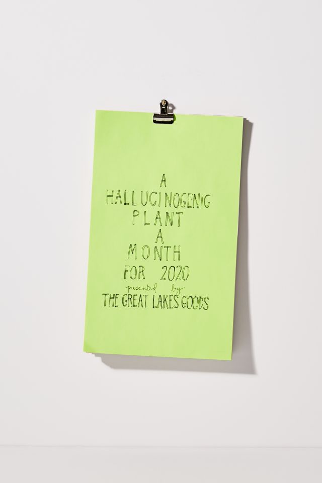 The Great Lakes Goods 2020 Trippy Plants Wall Calendar #3