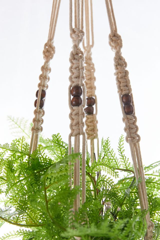 Natural Plant Hanger #3
