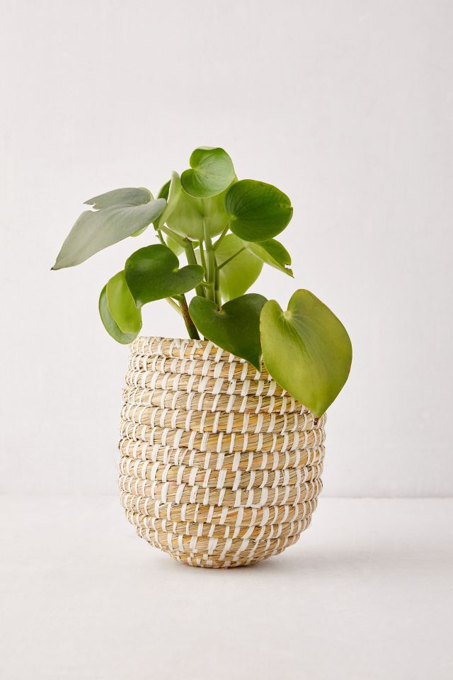 Dia Natural Basket Planter #4