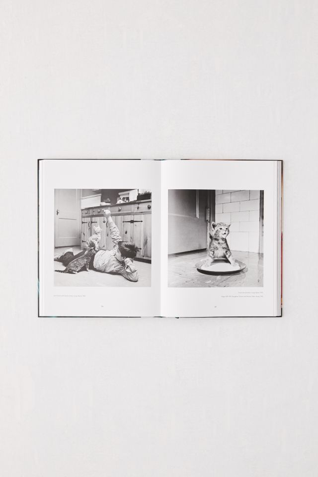 Walter Chandoha. Cats. Photographs 1942-2018 By Susan Michals #4