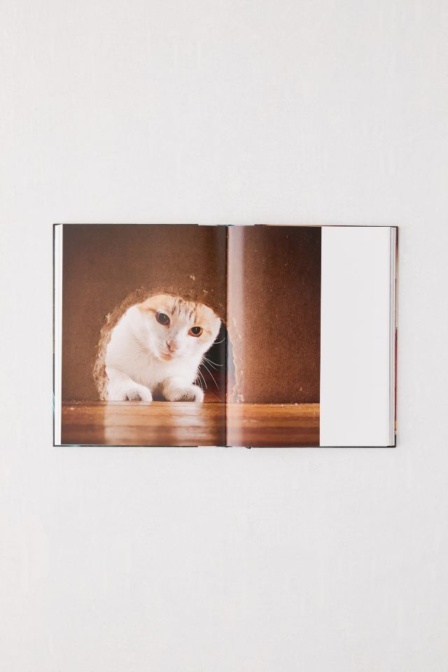 Walter Chandoha. Cats. Photographs 1942-2018 By Susan Michals #5