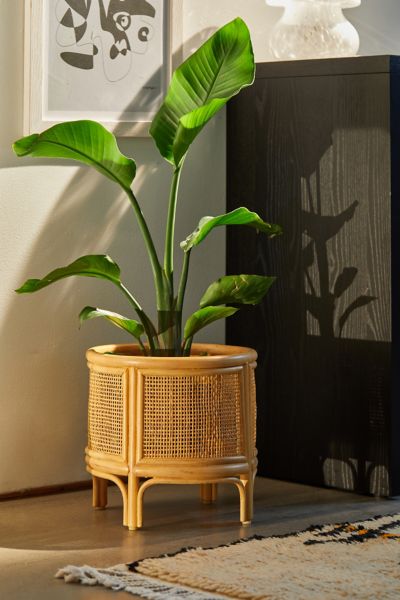 Check Utensil Holder