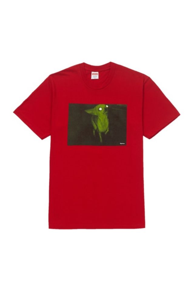 Supreme Chris Cunningham Chihuahua Tee Urban Outfitters