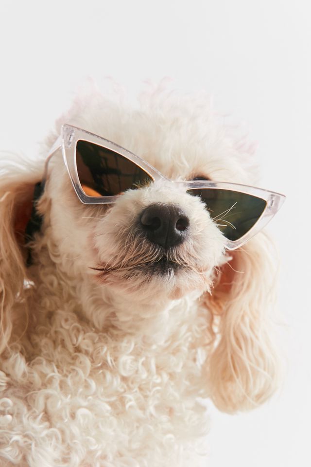 Cat-Eye Pet Sunglasses #3