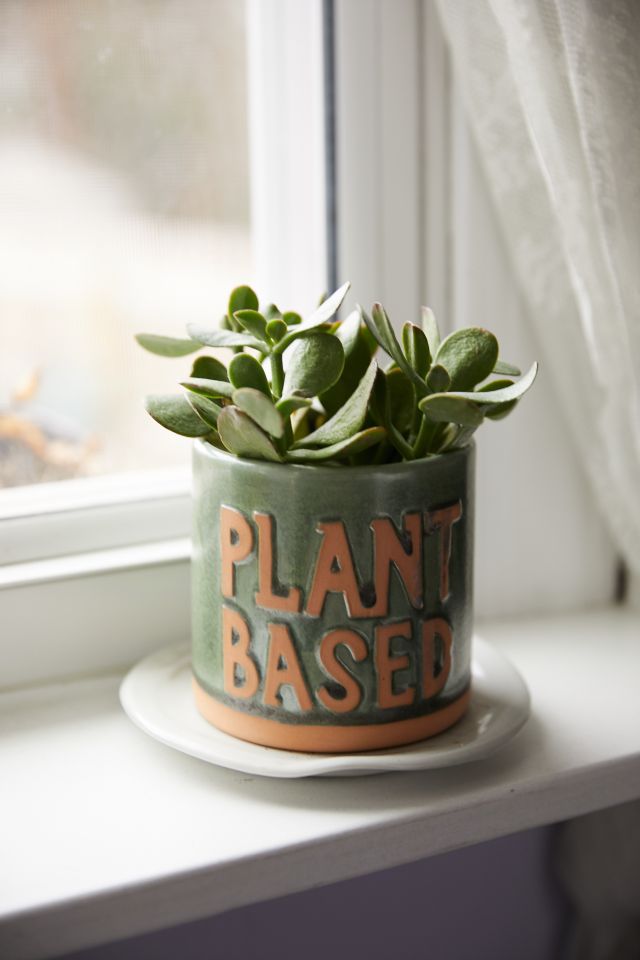 Plant Based Ceramic 4” Planter