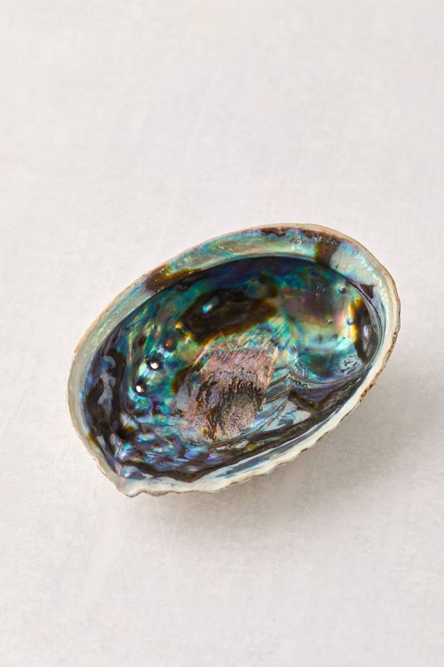 Mermaid Shell Catch-All Dish #1