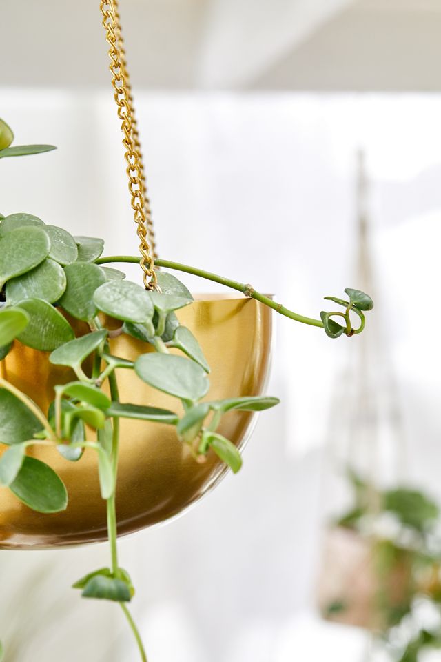 Metal Hanging Planter | Urban Outfitters