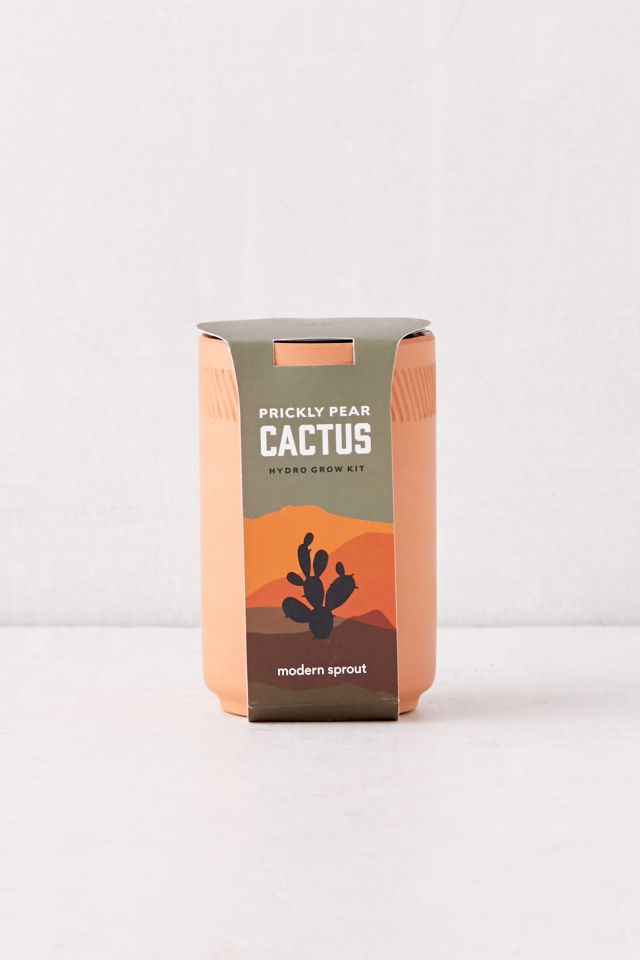 Modern Sprout Terracotta Grow Kit