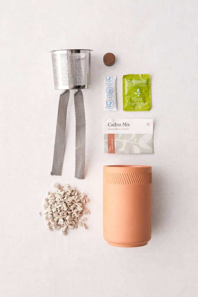 Modern Sprout Terracotta Grow Kit #2