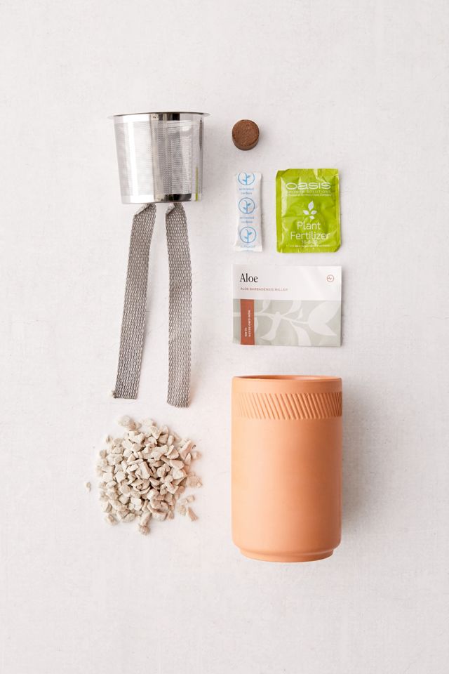 Modern Sprout Terracotta Grow Kit #2