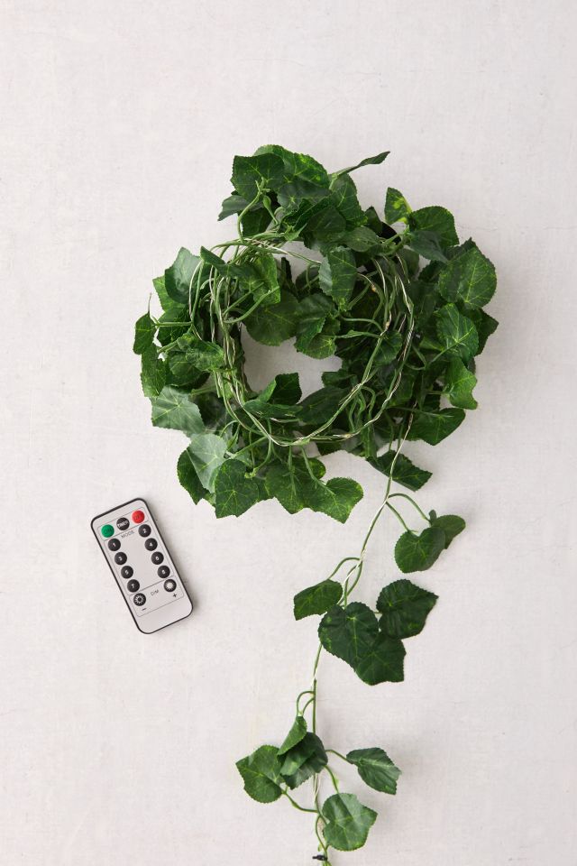 Ivy Vine String Lights #1