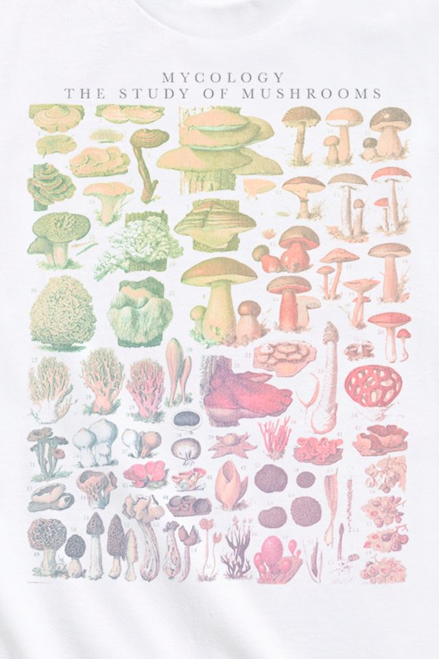 Mycology The Study Of Mushrooms Tee | Urban Outfitters