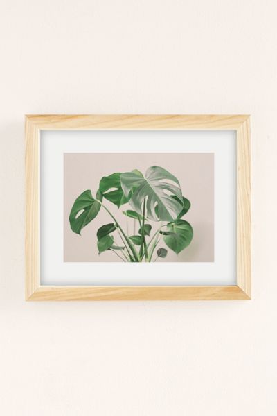 Sisi And Seb My Monstera Art Print
