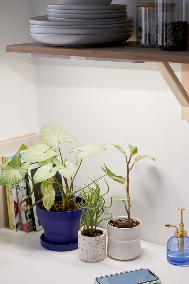 Modern Sprout Growbar Light | Urban Outfitters Canada