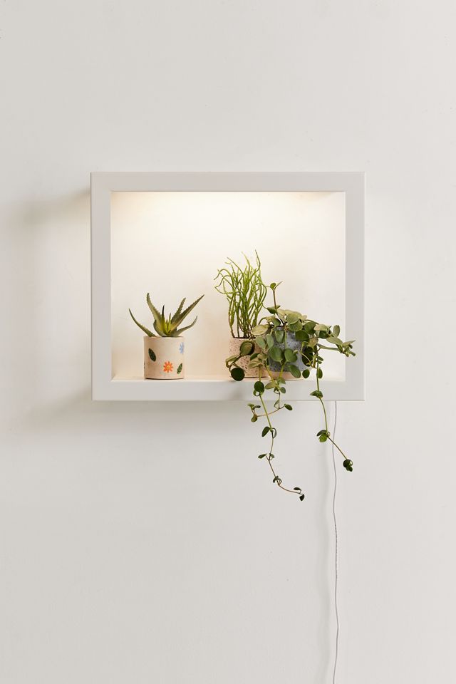 Modern Sprout Growframe | Urban Outfitters
